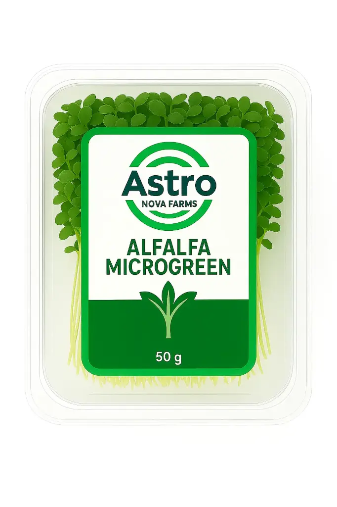Alfalfa Microgreen