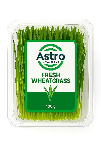 Fresh Wheatgrass Microgreens